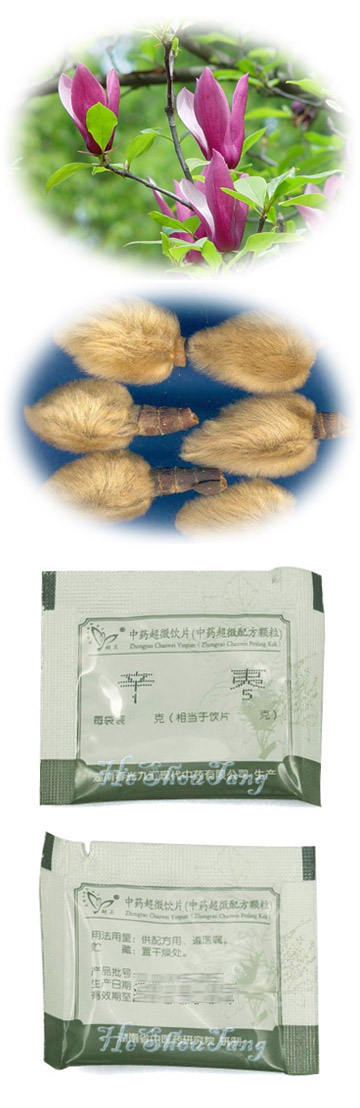 Biond Magnolia Flower (Herba Asari, Blond magnolia flower, Flos Magnoliae, Manchurian wild ginger, Xin yi)