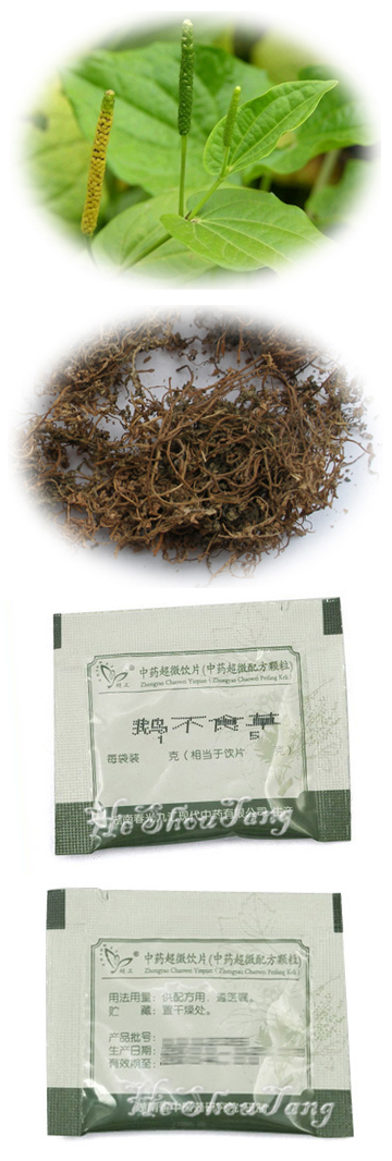 Centipeda minima, Small Centipeda Herb, SmallCentipedaHerb, Herba Centipedae, goose-will-not-eat herb, E bu shi cao