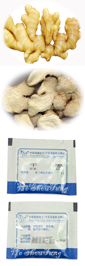 Fresh ginger(Zingiber officinale Rosc., Rhizoma zingiberis officinalis, Rhizoma Zingiberis Recens, Sheng jiang) shokyo, saenggang, saang1  geong1