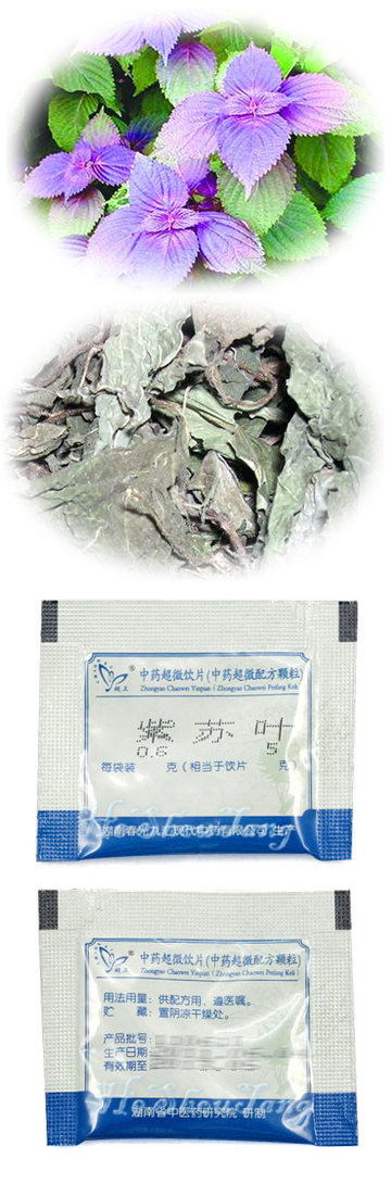 Perilla Leaf/ Folium Perillae/ Zi su ye Perilla Leaf (Folium Perillae, Perilla frutescens (L.) Britt., Folium Perillae Frutescentis, Zi su ye )