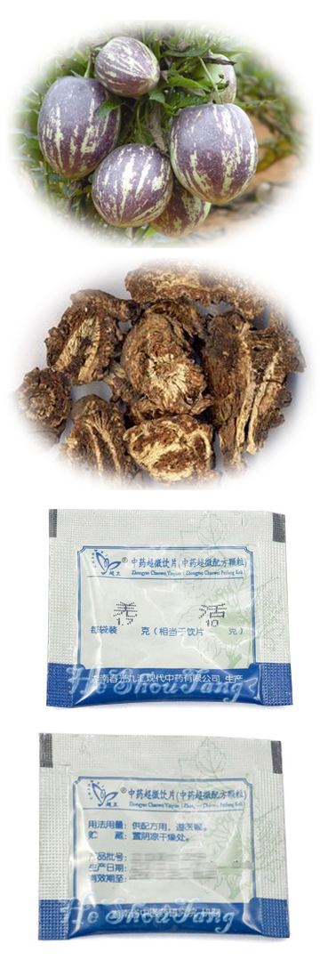 Rhizome or root of notopterygium (Notopterygium incisum Ting ex HT Chang, Rhizoma Et Radix Notopterygii, Rhizoma seu Radix Notopterygii, Incised Notopterygium Rhizome or root, Qiang huo)