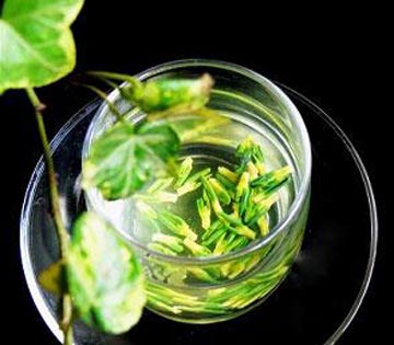 lotus, lotus nut, lotus plumule lotus, lotus nut, lotus plumule