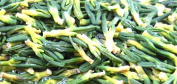lotus, lotus nut, lotus plumule lotus, lotus nut, lotus plumule